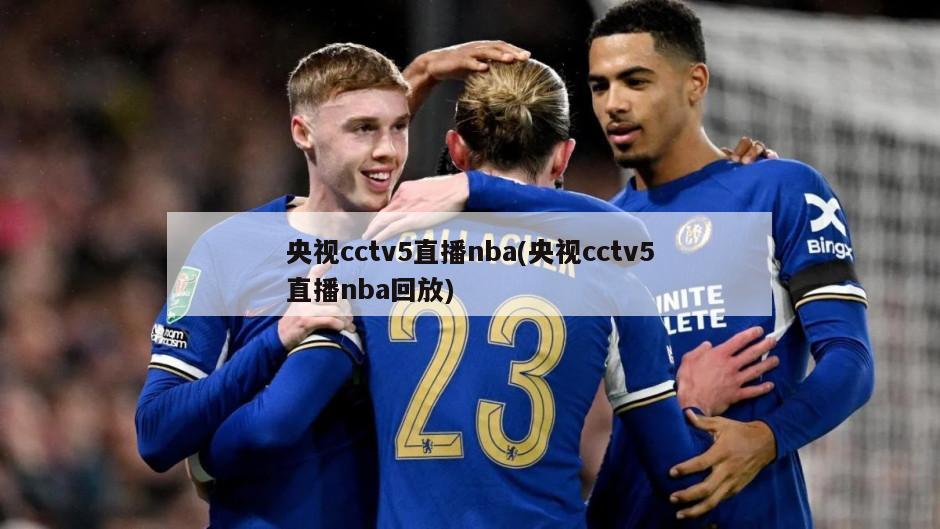 央视cctv5直播nba(央视cctv5直播nba回放)