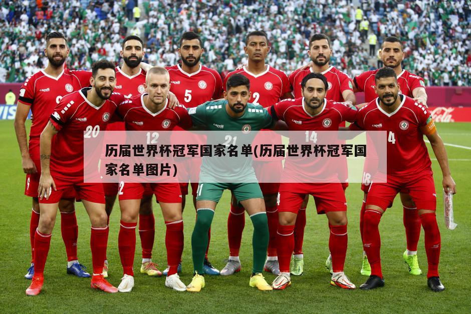历届世界杯冠军国家名单(历届世界杯冠军国家名单图片)