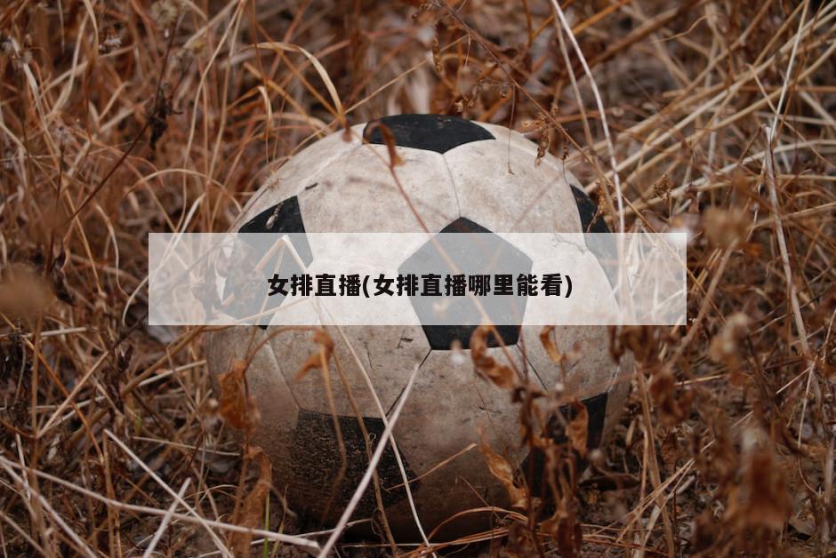 女排直播(女排直播哪里能看)