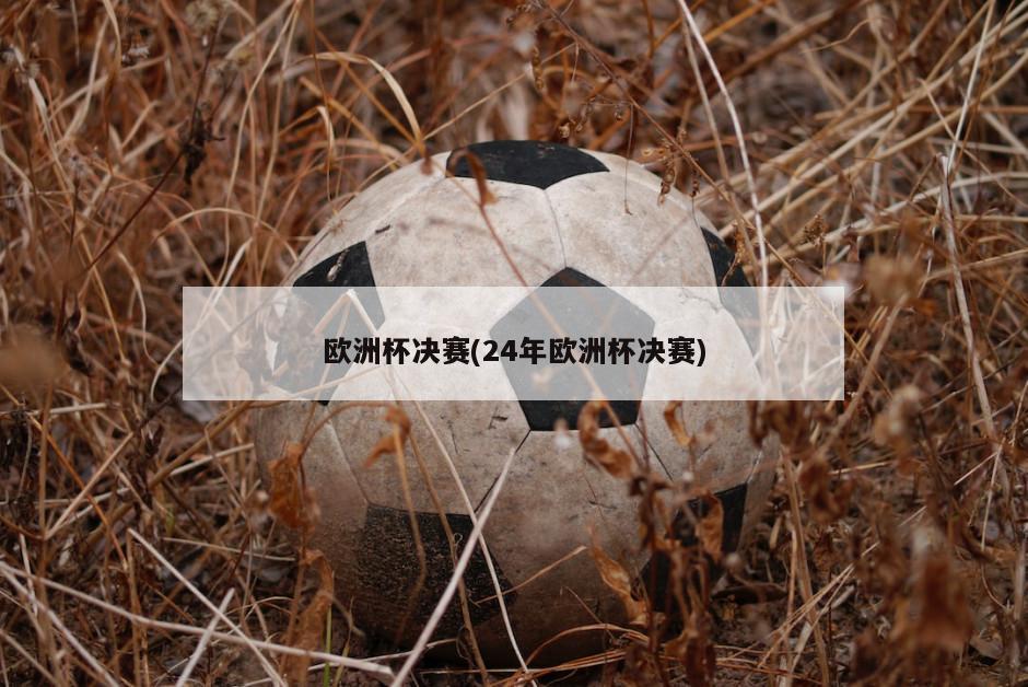 欧洲杯决赛(24年欧洲杯决赛)