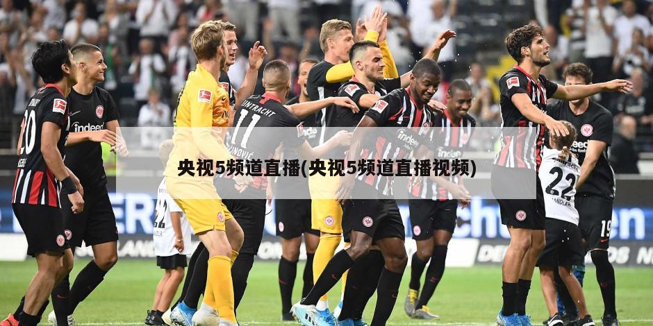 央视5频道直播(央视5频道直播视频)