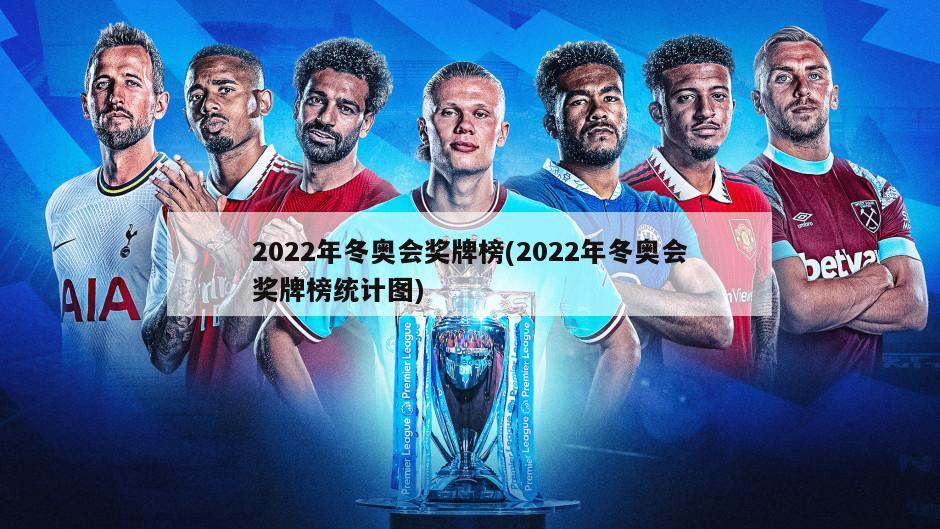 2022年冬奥会奖牌榜(2022年冬奥会奖牌榜统计图)