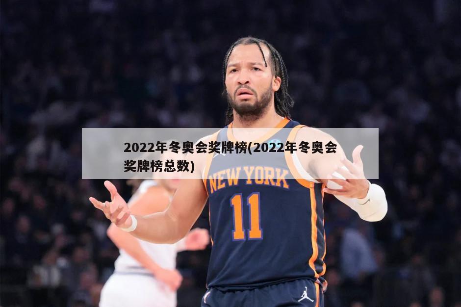 2022年冬奥会奖牌榜(2022年冬奥会奖牌榜总数)