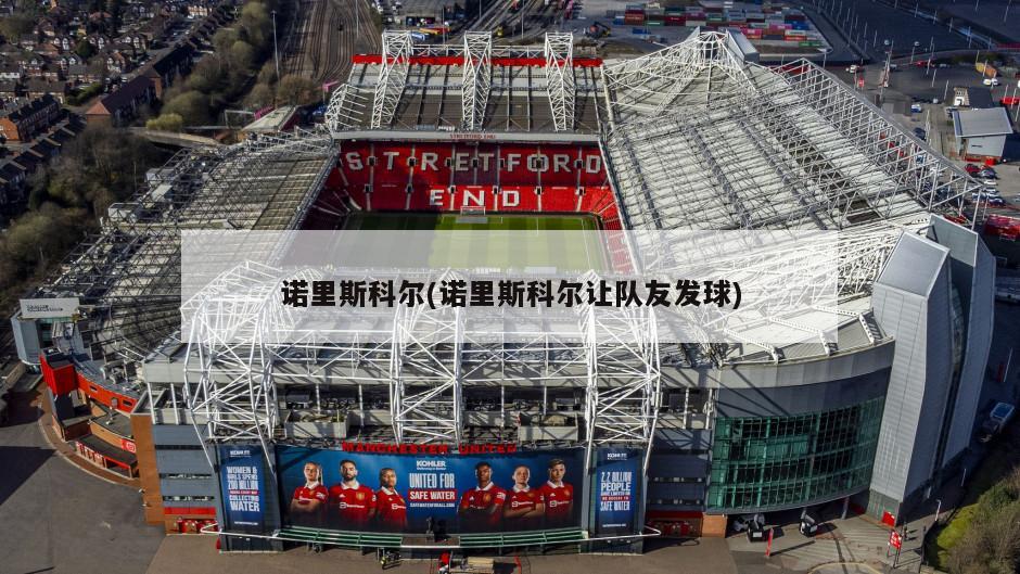 诺里斯科尔(诺里斯科尔让队友发球)