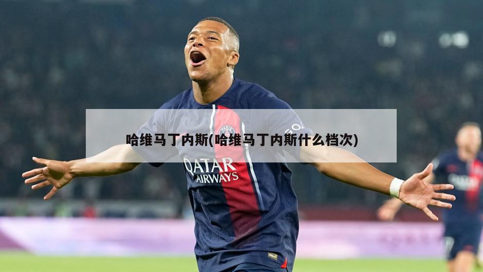 哈维马丁内斯(哈维马丁内斯什么档次)
