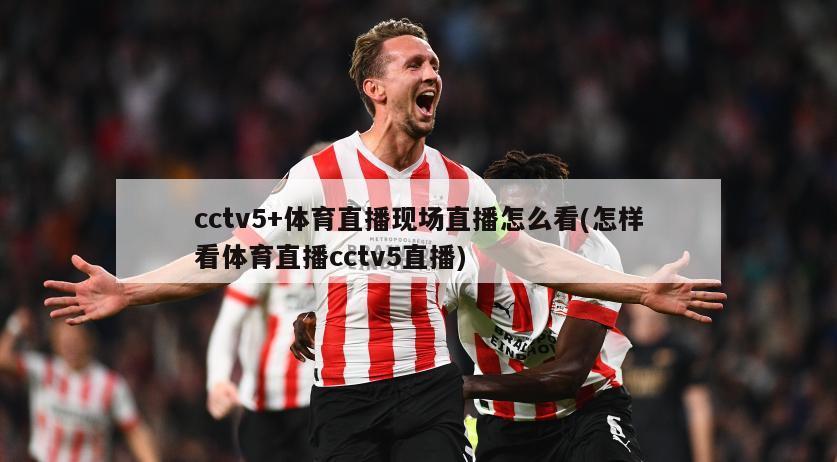 cctv5+体育直播现场直播怎么看(怎样看体育直播cctv5直播)