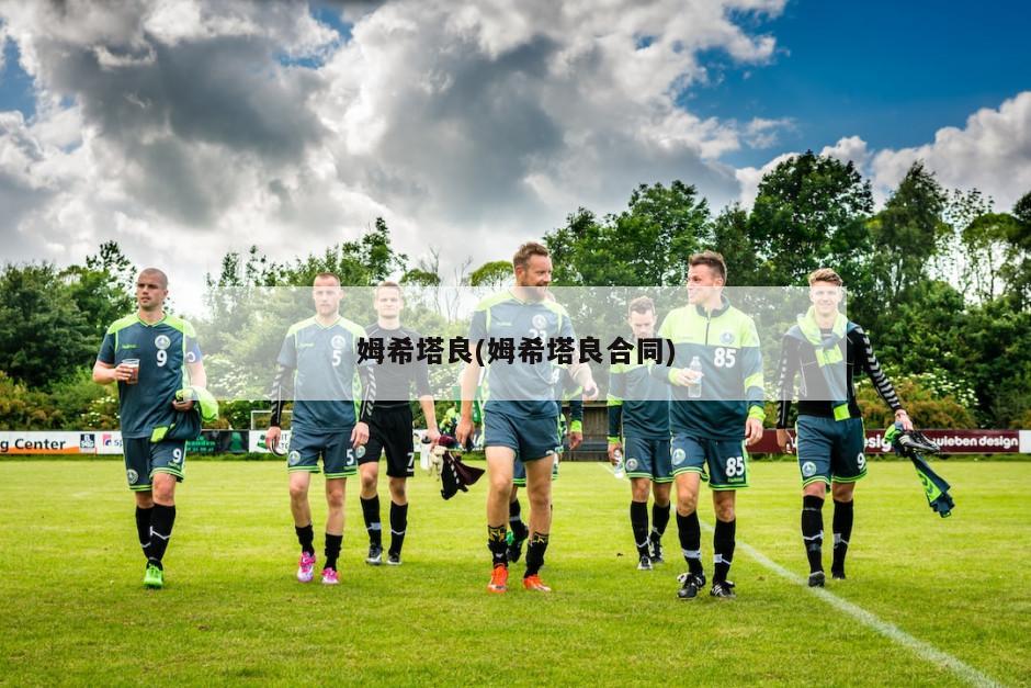 姆希塔良(姆希塔良合同)