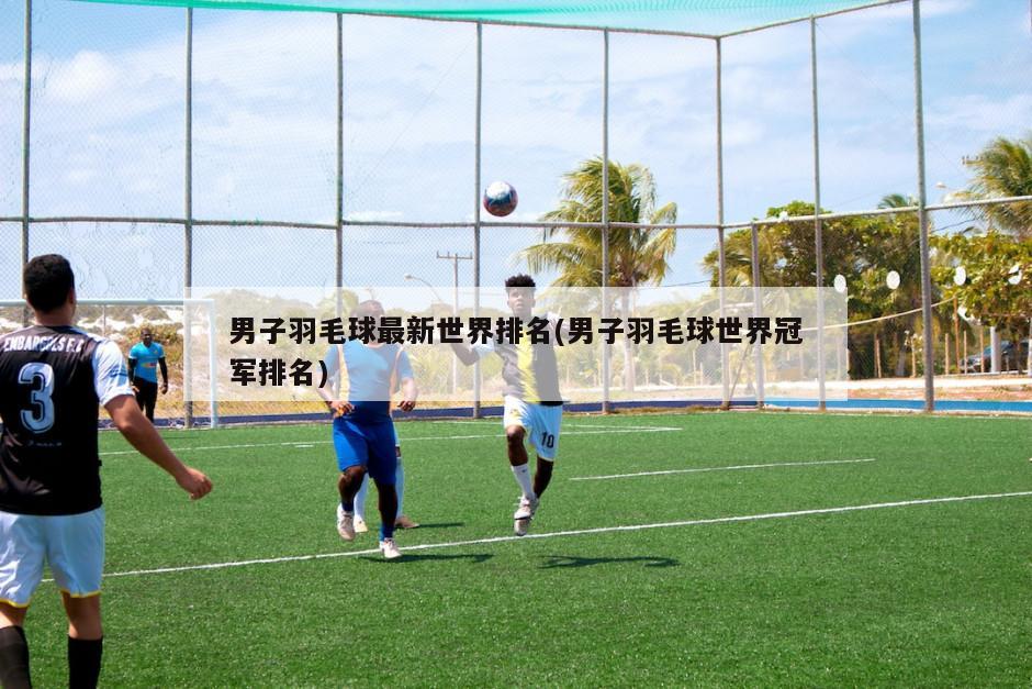 男子羽毛球最新世界排名(男子羽毛球世界冠军排名)