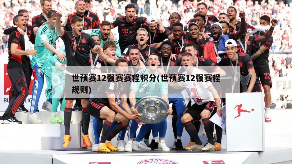 世预赛12强赛赛程积分(世预赛12强赛程规则)
